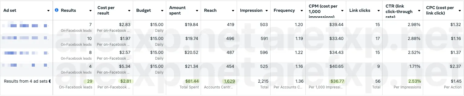 <b>USA B2B, first 24 hours.</b> 29 leads at $2.81 each.